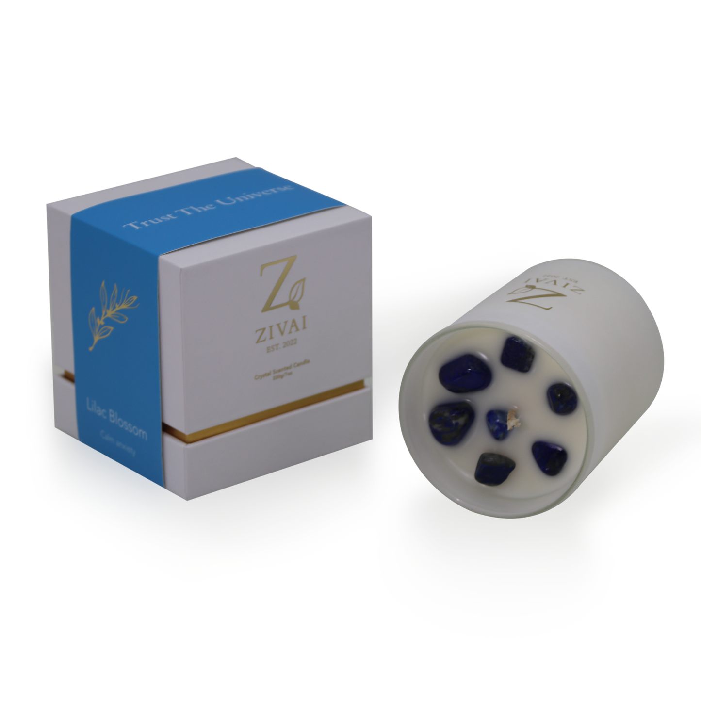 WISDOM - Trust The Universe